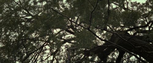 Click to view full size image
==============
RdM2-Potterish_08818.jpg RdM2-Potterish_08818.jpg