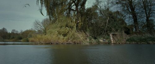 RdM2-Potterish_08828.jpg