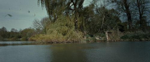 RdM2-Potterish_08829.jpg