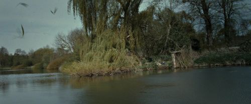 Click to view full size image
==============
RdM2-Potterish_08831.jpg RdM2-Potterish_08831.jpg