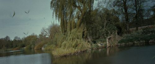 RdM2-Potterish_08835.jpg