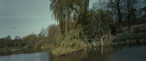 Click to view full size image
==============
RdM2-Potterish_08836.jpg RdM2-Potterish_08836.jpg
