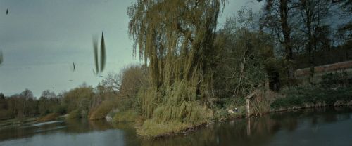 Click to view full size image
==============
RdM2-Potterish_08838.jpg RdM2-Potterish_08838.jpg