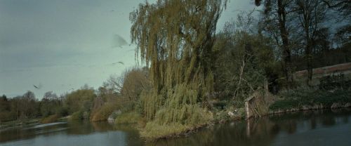 RdM2-Potterish_08839.jpg