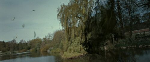 Click to view full size image
==============
RdM2-Potterish_08841.jpg RdM2-Potterish_08841.jpg