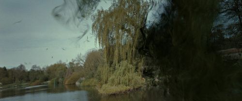 RdM2-Potterish_08842.jpg