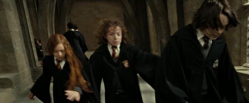 RdM2-Potterish_08883.jpg