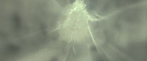 Click to view full size image
==============
RdM2-Potterish_08918.jpg RdM2-Potterish_08918.jpg