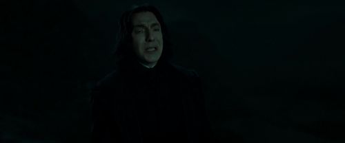 RdM2-Potterish_08939.jpg