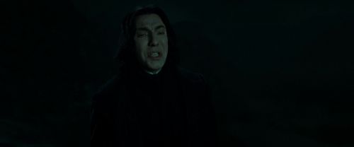 RdM2-Potterish_08940.jpg
