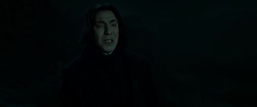 RdM2-Potterish_08941.jpg