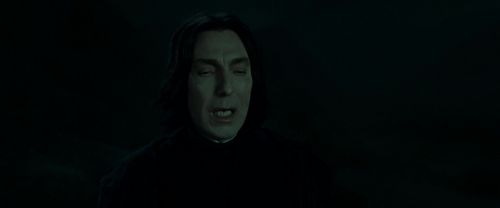Click to view full size image
==============
RdM2-Potterish_08949.jpg RdM2-Potterish_08949.jpg