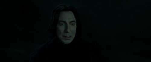 RdM2-Potterish_08950.jpg