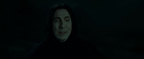 Click to view full size image
==============
RdM2-Potterish_08952.jpg RdM2-Potterish_08952.jpg