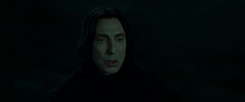 RdM2-Potterish_08953.jpg
