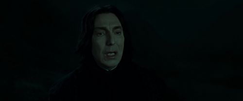 RdM2-Potterish_08954.jpg