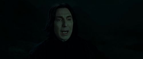 Click to view full size image
==============
RdM2-Potterish_08955.jpg RdM2-Potterish_08955.jpg
