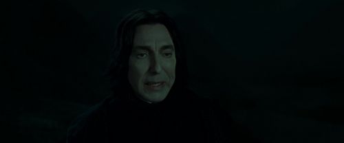 RdM2-Potterish_08956.jpg