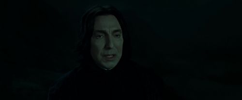 RdM2-Potterish_08957.jpg