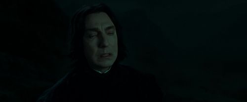 RdM2-Potterish_08965.jpg