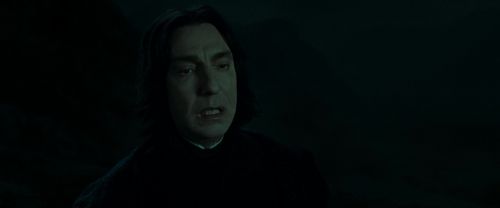 RdM2-Potterish_08966.jpg