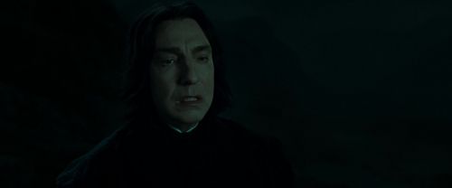 RdM2-Potterish_08969.jpg