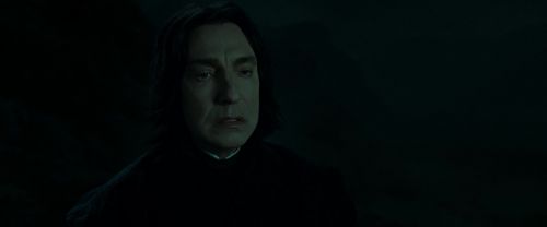 RdM2-Potterish_08970.jpg