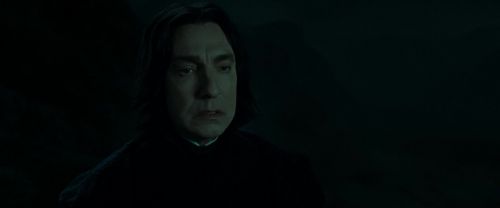 RdM2-Potterish_08971.jpg