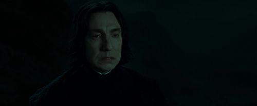 RdM2-Potterish_08972.jpg