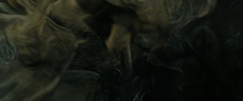 RdM2-Potterish_09016.jpg