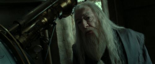 RdM2-Potterish_09052.jpg