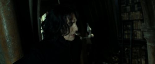 RdM2-Potterish_09062.jpg