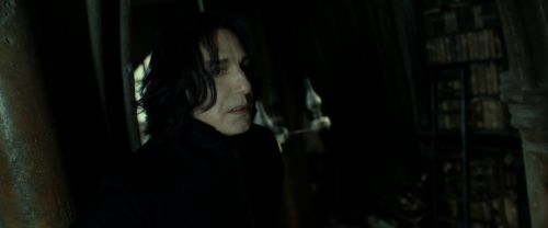 RdM2-Potterish_09066.jpg
