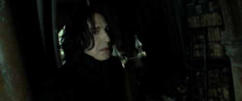 RdM2-Potterish_09067.jpg