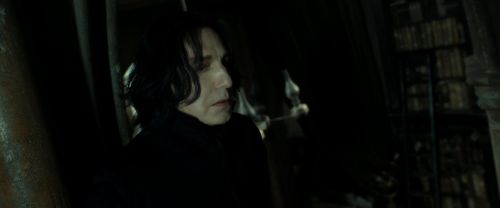 RdM2-Potterish_09073.jpg