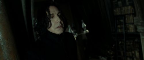 RdM2-Potterish_09076.jpg
