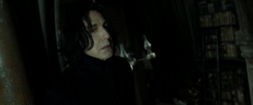 RdM2-Potterish_09077.jpg