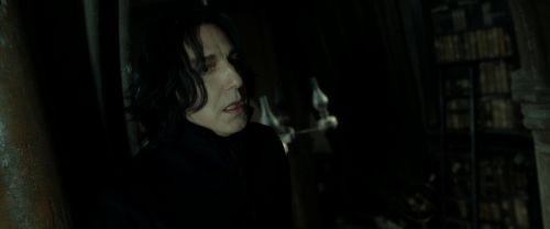 RdM2-Potterish_09078.jpg