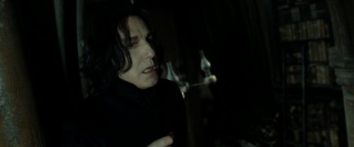 RdM2-Potterish_09079.jpg