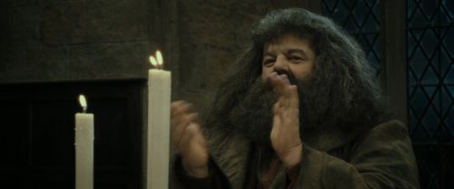 RdM2-Potterish_09103.jpg