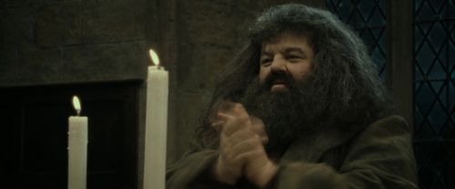 RdM2-Potterish_09104.jpg