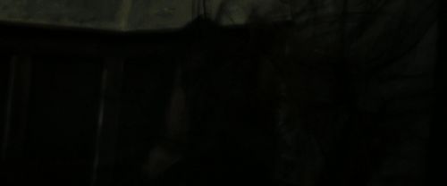 RdM2-Potterish_09114.jpg