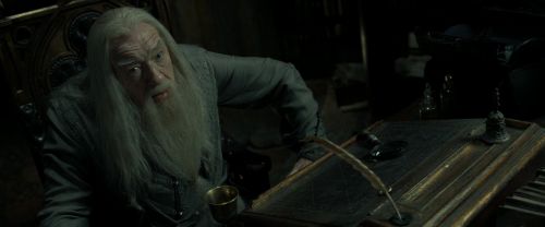 RdM2-Potterish_09213.jpg