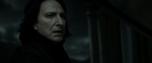 RdM2-Potterish_09239.jpg
