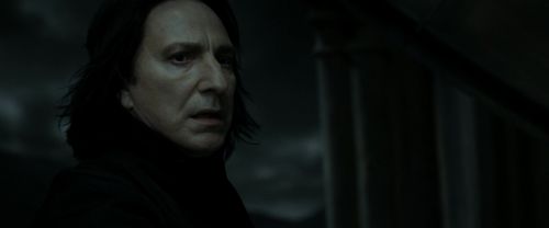 RdM2-Potterish_09240.jpg