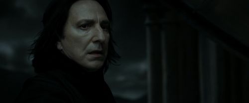 RdM2-Potterish_09243.jpg