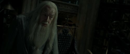 RdM2-Potterish_09250.jpg