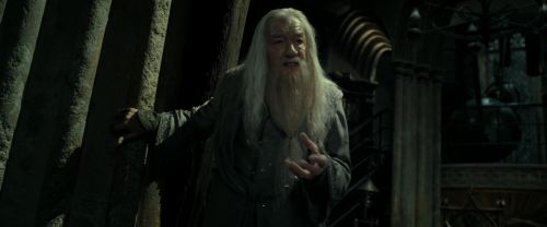 RdM2-Potterish_09299.jpg