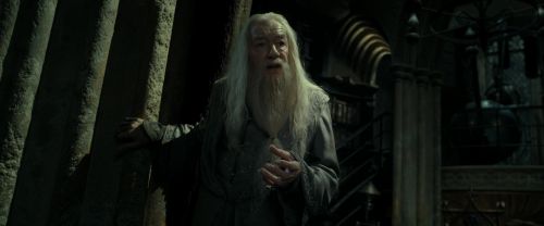 RdM2-Potterish_09301.jpg