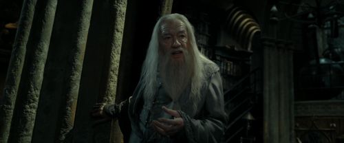 RdM2-Potterish_09303.jpg